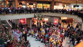 Flash Mob the best of Christmas 2011  Flash Mob Best Of [upl. by Delfine]