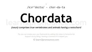 Pronunciation of Chordata  Definition of Chordata [upl. by Brooking]