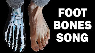 FOOT BONES SONG [upl. by Eico]