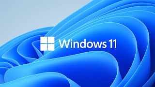 Clean Install Windows 11 and Windows 10 BIOS Settings [upl. by Eenat]