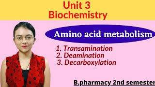 Amino acid metabolism Transamination Deamination and Decarboxylation with notes Biochemistry 2 sem [upl. by Atsugua]