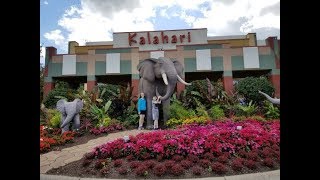 KALAHARI RESORT Wisconsin Dells Tour [upl. by Amalee529]