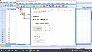 How To Calculate Cronbachs Alpha in SPSS [upl. by Donelson]