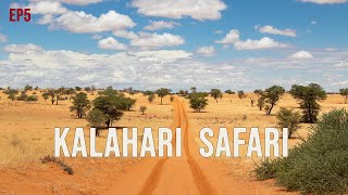 Kalahari Safari  Kgalagadi Part 4 of 4  EP5 [upl. by Enirehtac264]