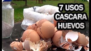 7 Usos De La Cascara De Huevo En El Huerto O Jardin  La Huertina De Toni [upl. by Reitrac]