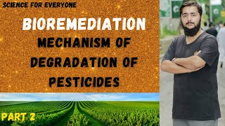 Bioremediation Degradation of Pesticides [upl. by Anol]