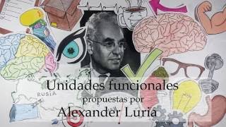 Unidades funcionales de Luria [upl. by Cleasta]