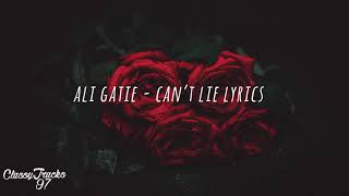 Ali Gatie  Cant Lie Lyrics [upl. by Eipper]