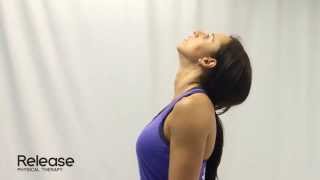 Cervical Spine Retraction amp Extension  McKenzie Exercise for Neck [upl. by Ylrebmic698]