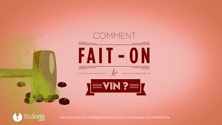 Comment faiton le vin   toutlevincom [upl. by Paradies428]