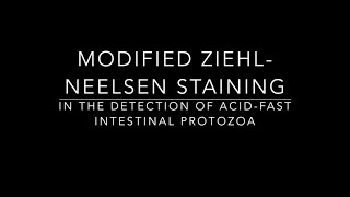 Modified ZiehlNeelsen AcidFast Staining [upl. by Inami]