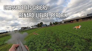 Chasse Petits Gibiers  Renard Lièvre Perdrix [upl. by Strohbehn]