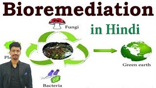 Bioremediation  Environment amp Ecology Crash Course  💥 DOWNLOAD BUDDHI IAS APP💥 [upl. by Richie]