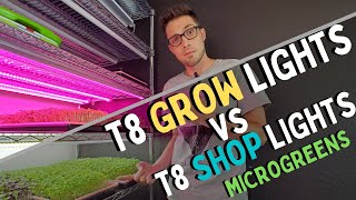 LED GROW LIGHTS vs GARAGE LIGHTS  Microgreen Lighting  Turnip [upl. by Eerok]