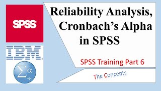 Reliability Analysis Cronbach Alpha in SPSS Lesson 6 [upl. by Llevram]