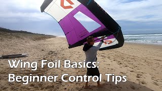 Wing Foil Basics Beginner Control Tips [upl. by Kingdon]