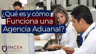 ¿Qué es y Cómo Funciona una Agencia Aduanal [upl. by Eiznil989]