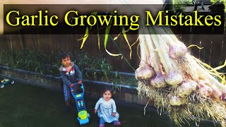 Common Garlic Growing Mistakes  And How To Fix Them [upl. by Eugaet]