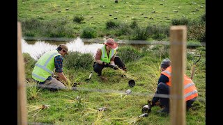 Papakura Stream Restoration Project  CVNZ [upl. by Kalfas]