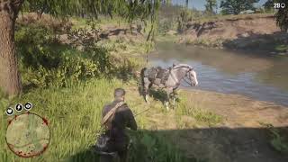 Weapons Expert 9 Easiest amp Fastest way RDR2 [upl. by Shedd]