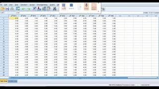 Interitem Reliability Analysis using SPSS [upl. by Sellers294]