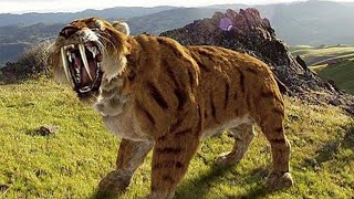 Sabertoothed Tiger  Prehistoric Cats Documentary [upl. by Minda]