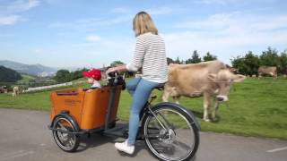 Introduction Babboe Mountain Cargobikes [upl. by Margeaux]