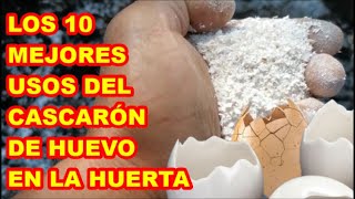 CASCARONES DE HUEVO LOS 10 USOS MÁS ÚTILES EN HUERTA QUE ENCONTRARÁS EN YOUTUBE [upl. by Alamac]