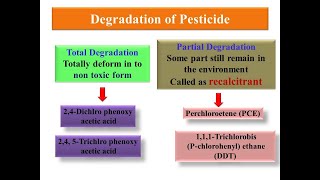 Principle of Biodegradation of PesticideXenobiotics [upl. by Joo]