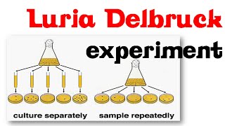 Luria delbruck experiment [upl. by Olyhs]