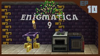 Enigmatica 9 Expert  E10  Using Magic to Power our Machines [upl. by Yerrok]