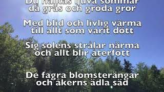 Den blomstertid nu kommer text [upl. by Adok468]