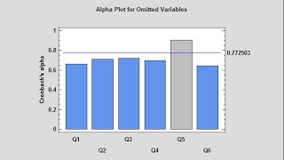 Item Reliability Analysis [upl. by Eiramanit]