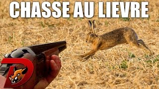 Chasse petit gibier en plaine [upl. by Suivatnad]