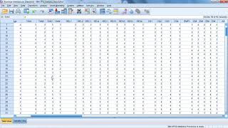 HOW TO IMPROVE RELIABILITY IN SPSS [upl. by Ynnahc451]