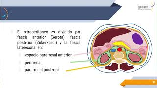 Radiología Básica de Abdomen [upl. by Andrei361]