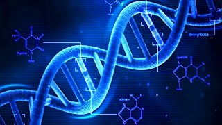 DNA  What is DNA  Basics of DNA [upl. by Assillem]