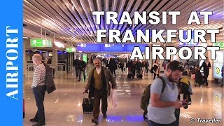 TRANSIT WALK AT FRANKFURT Airport FRA Terminal 1  Connection Flight Transfer Arriving amp Departing [upl. by Erdnaek]