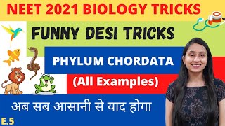 NEET BIOLOGY TRICKS PHYLUM CHORDATA [upl. by Hardwick630]