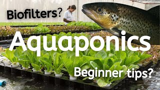 What is Aquaponics and How Does it Work [upl. by Knowland]