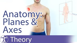 Anatomical Planes amp Axes Explained [upl. by Malchus109]